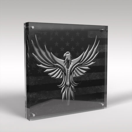 American Flag and Eagle Acrylic Art Display Block