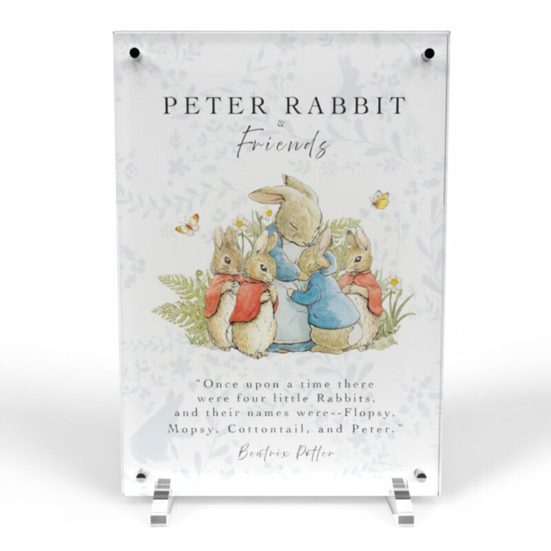 Peter Rabbit Beatrix Potter 50p 12 Coin Acrylic Display Case Holder - Image 5