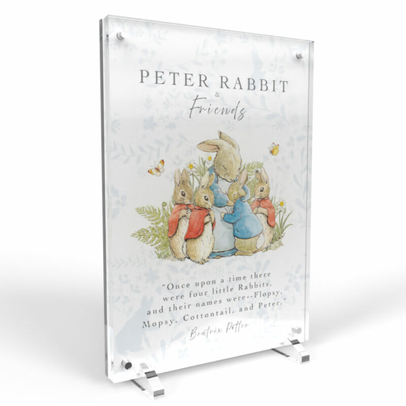 Peter Rabbit Beatrix Potter 50p 12 Coin Acrylic Display Case Holder - Image 6