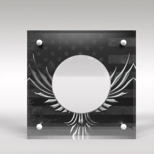 Morgan Silver Dollar Acrylic Coin Display