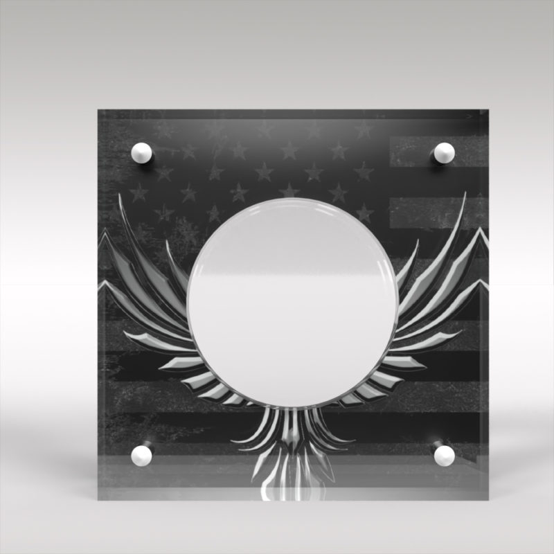 Morgan Silver Dollar Acrylic Coin Display