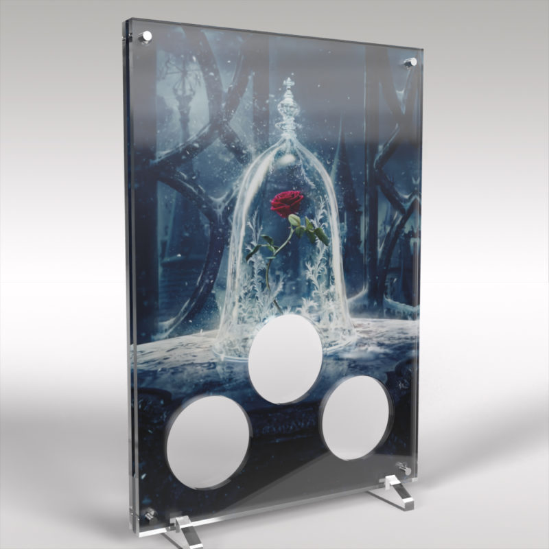 Beauty and the Beast Commemorative Coins with Perspex Coin Display Stand - Image 3