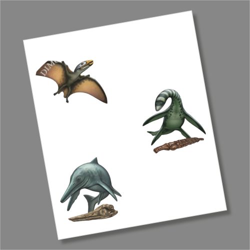Temnodontosaurus, Dimorphodon and Plesiosaurus 50p Coin Decal/Sticker