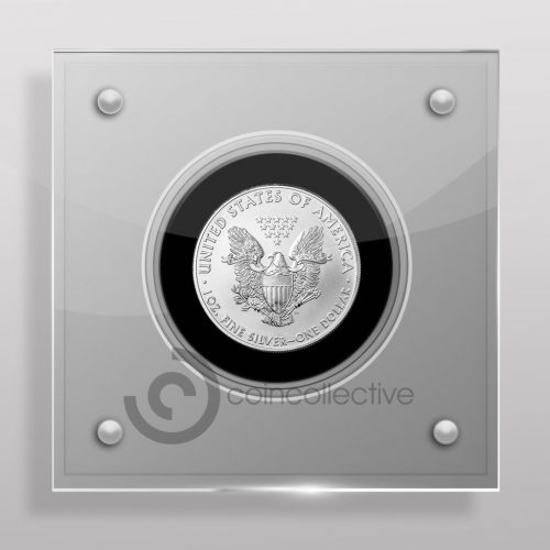 US Dollar Acrylic Coin Display Case