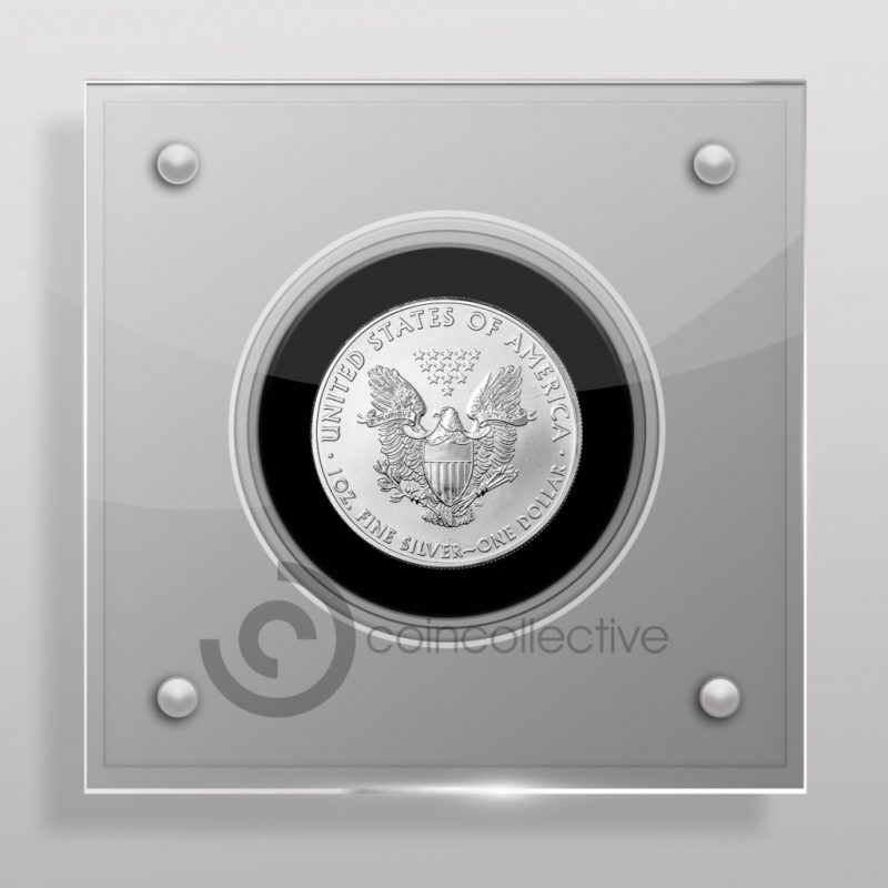 US Dollar Acrylic Coin Display Case