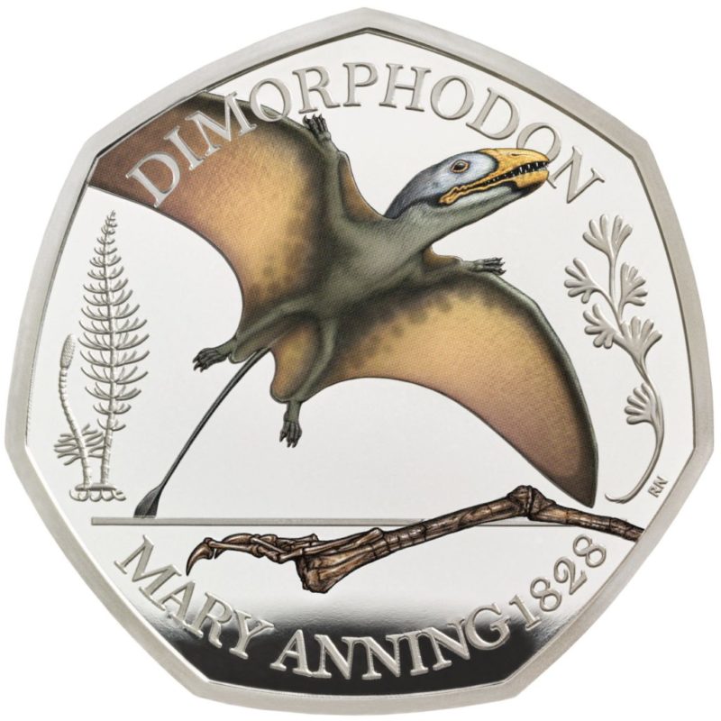 Tales of the Earth Mary Anning Collection 50p 3 Coin Collection Display - Image 4