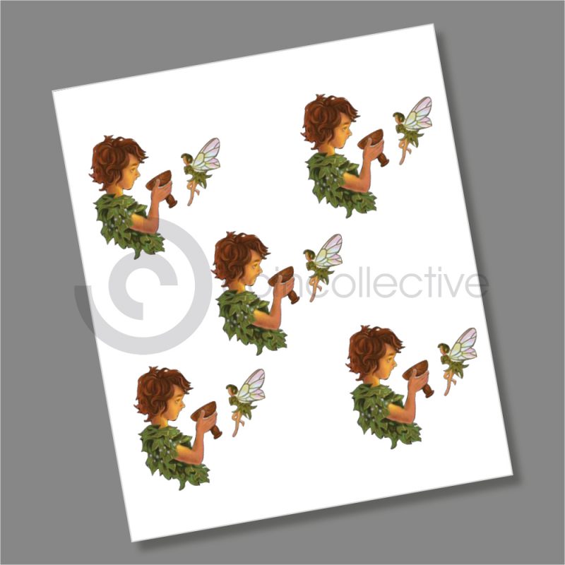 Peter Pan 2020 Single Design 50p Coin Decal Stickers