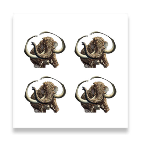 Four woolly mammoth illustrations on white background.