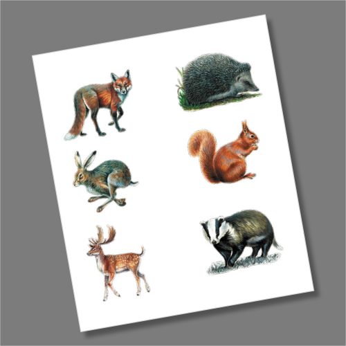 Wildlife 10p Coin Coloured Decal Stickers